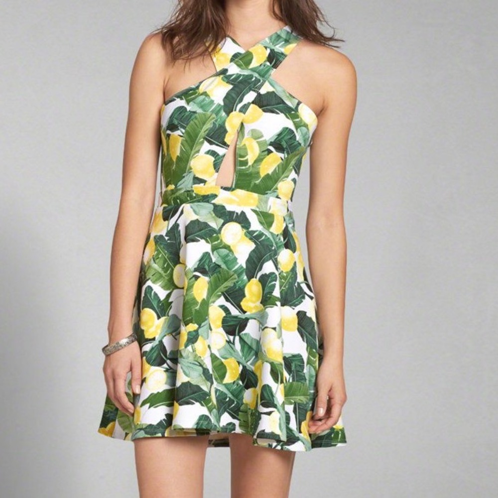 Abercrombie & Fitch Lemon Print Neoprene Dress